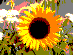 Example for the Posterize filter