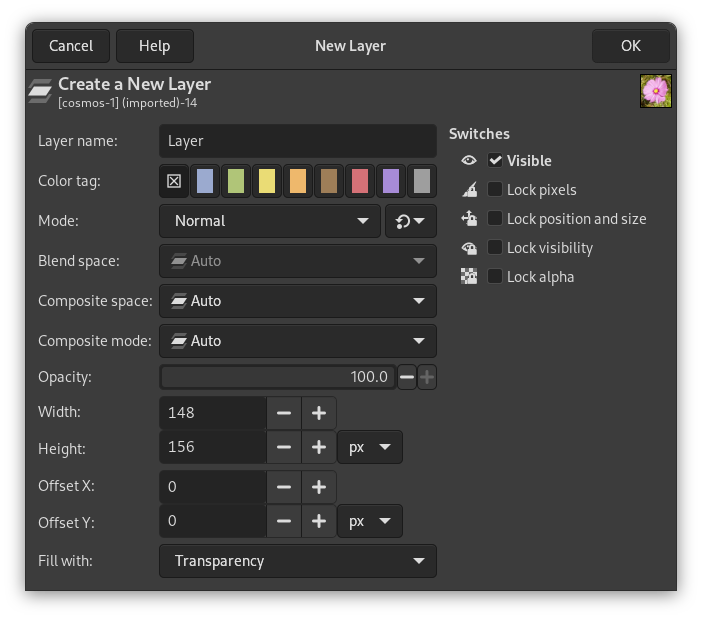 The New Layer dialog