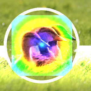 Example for layer mode Divide