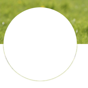 Example for layer mode Erase