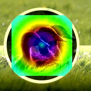 Example for layer mode Grain extract