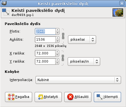 Dialogas „Keisti paveikslėlio dydį“