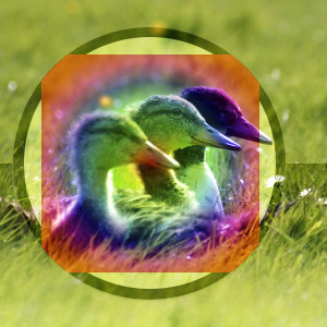 Example for layer mode «Soft light»