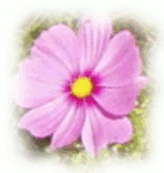 Voorbeeld voor de optie “Ontfocus”