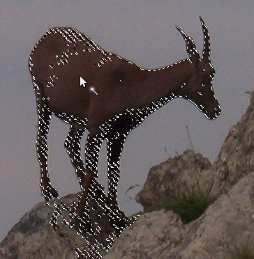 Gebruiken van het gereedschap Toverstaf: geselecteerde beeldpunten zijn aaneengesloten