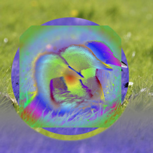 Voorbeeld van modus voor laag “Uitsluiting”