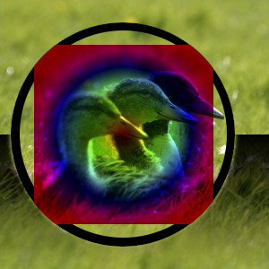 Voorbeeld van modus voor laag “Vermenigvuldigen”