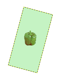 Пример привязки кисти при повороте просмотра