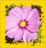 Parçacıklılık örneği (bulanıklaştırma olmadan)