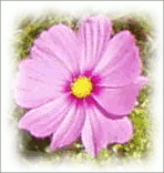 “Gölge ekle” örneği