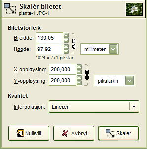 Dialogvindauget «Skaler biletet»